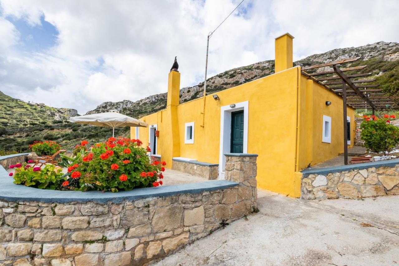 Olive Grove Cottage Menetaí Dış mekan fotoğraf
