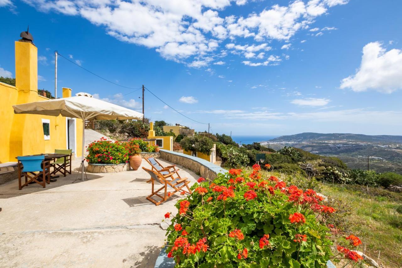 Olive Grove Cottage Menetaí Dış mekan fotoğraf