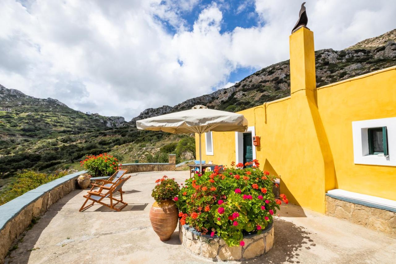 Olive Grove Cottage Menetaí Dış mekan fotoğraf