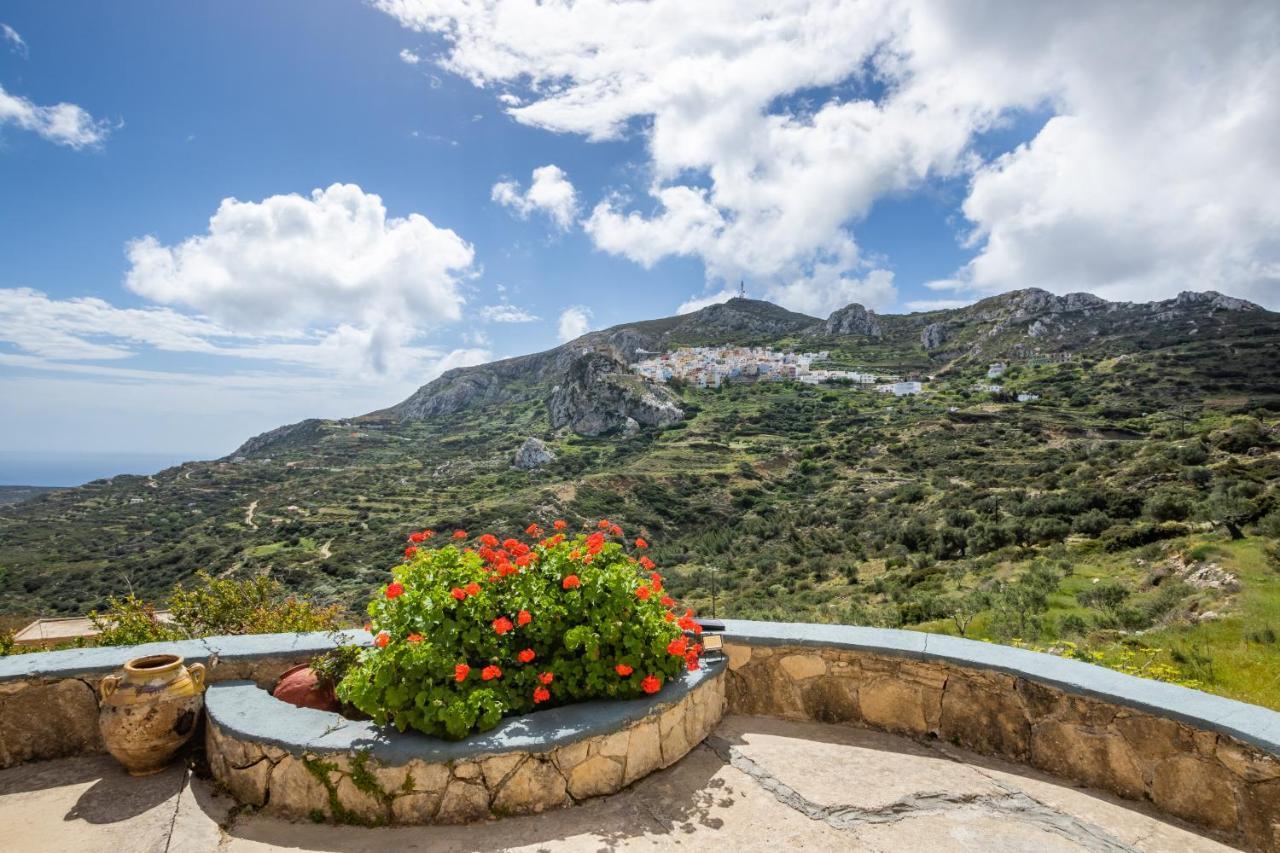 Olive Grove Cottage Menetaí Dış mekan fotoğraf