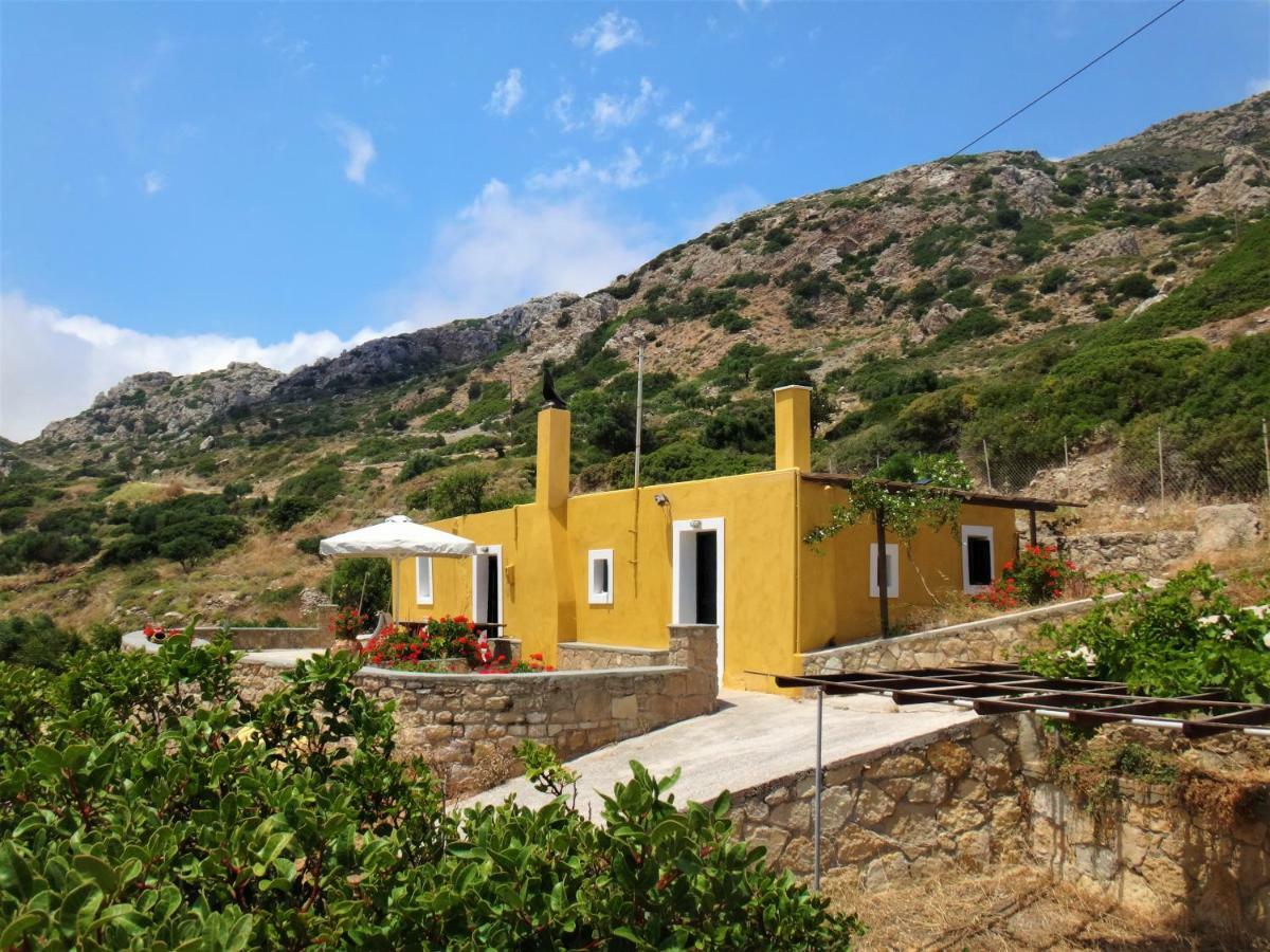Olive Grove Cottage Menetaí Dış mekan fotoğraf